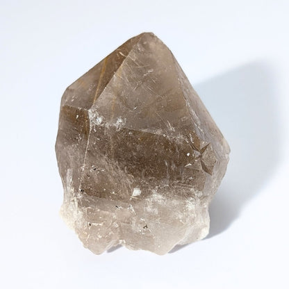 Quartz fumé brut avec de magnifiques rutiles dorés, Record Keeper