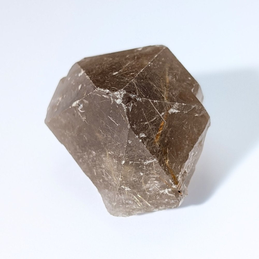 Quartz fumé brut avec de magnifiques rutiles dorés, Record Keeper