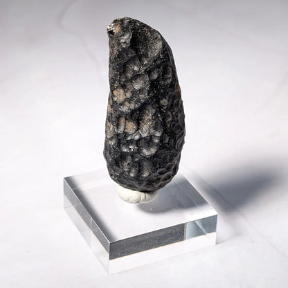 Indochinite en forme de goutte, tectite à haute fréquence vibratoire