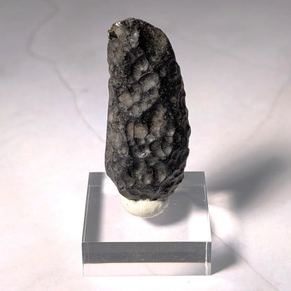 Indochinite en forme de goutte, tectite à haute fréquence vibratoire