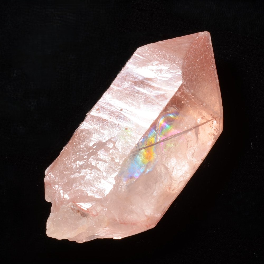 Superbe Lémurien Dreamsicle avec une face Isis et bel arc-en-ciel
