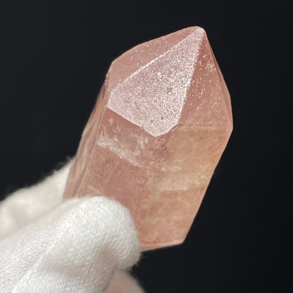 Superbe Lémurien Dreamsicle avec une face Isis et bel arc-en-ciel