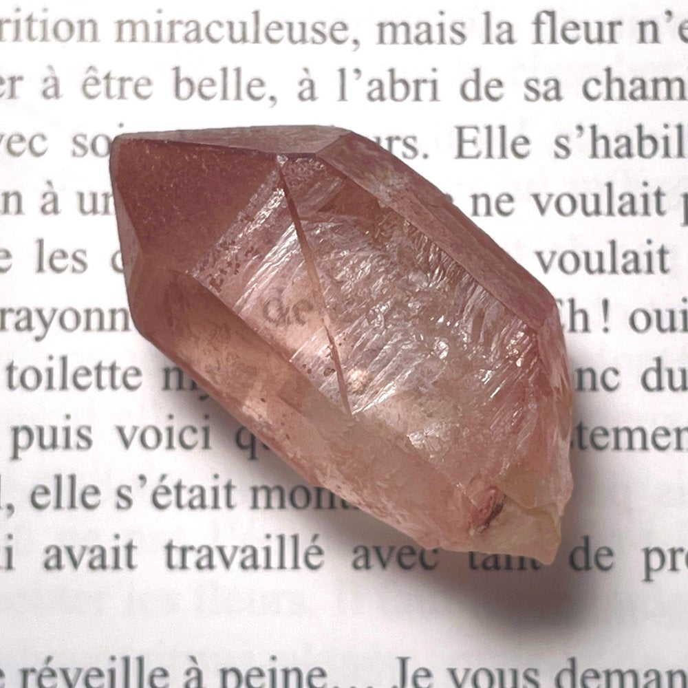 Superbe Lémurien Dreamsicle avec une face Isis et bel arc-en-ciel