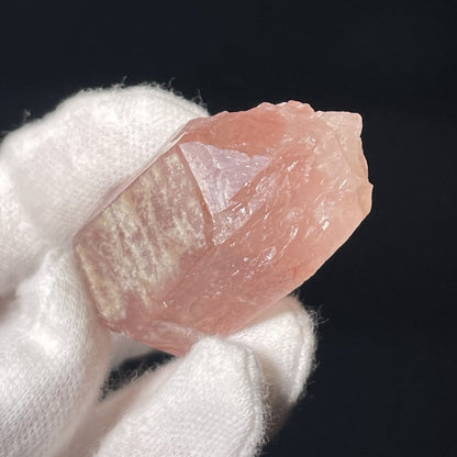 Superbe Lémurien Dreamsicle avec une face Isis et bel arc-en-ciel