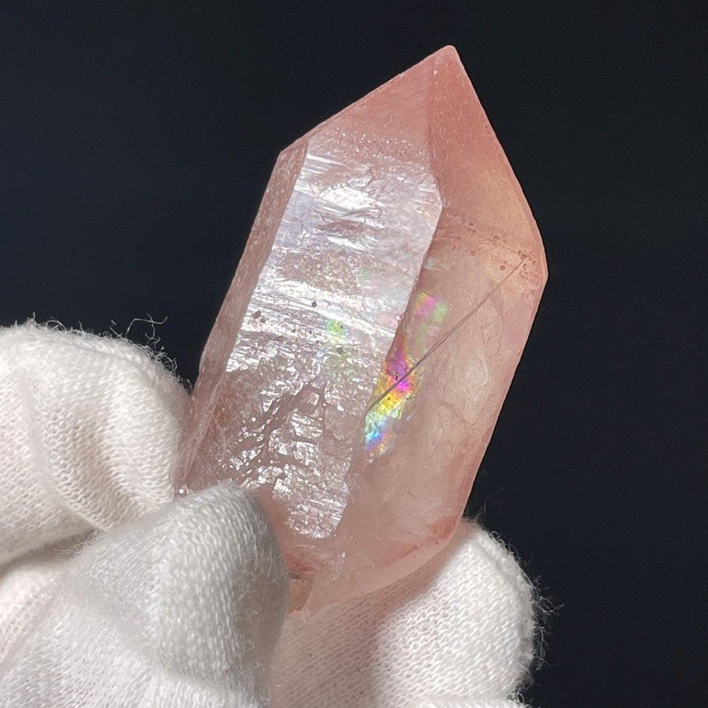 Superbe Lémurien Dreamsicle avec une face Isis et bel arc-en-ciel