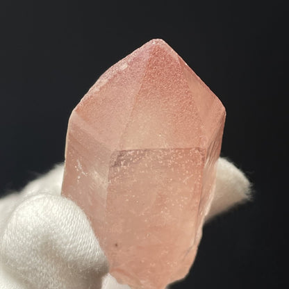 Superbe Lémurien Dreamsicle avec une face Isis et bel arc-en-ciel