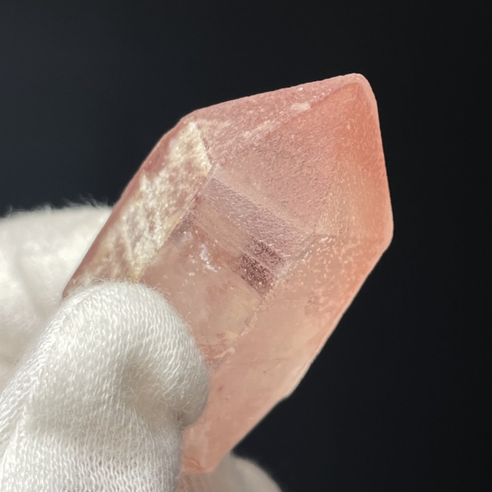Superbe Lémurien Dreamsicle avec une face Isis et bel arc-en-ciel