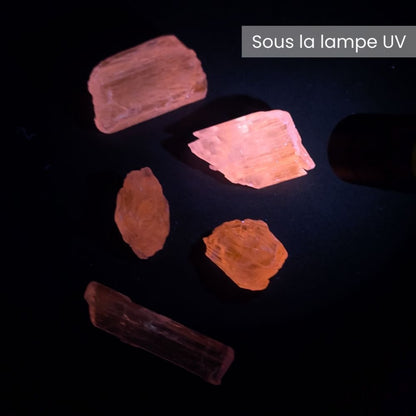 Cristal brut de kunzite, non taillé et de haute qualité - 2