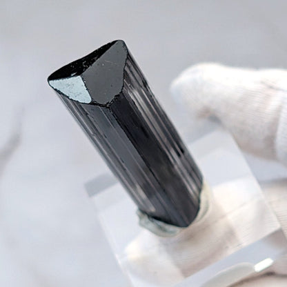Cristal brut de tourmaline noire de haute qualité, classique de la protection et de l’ancrage - 2