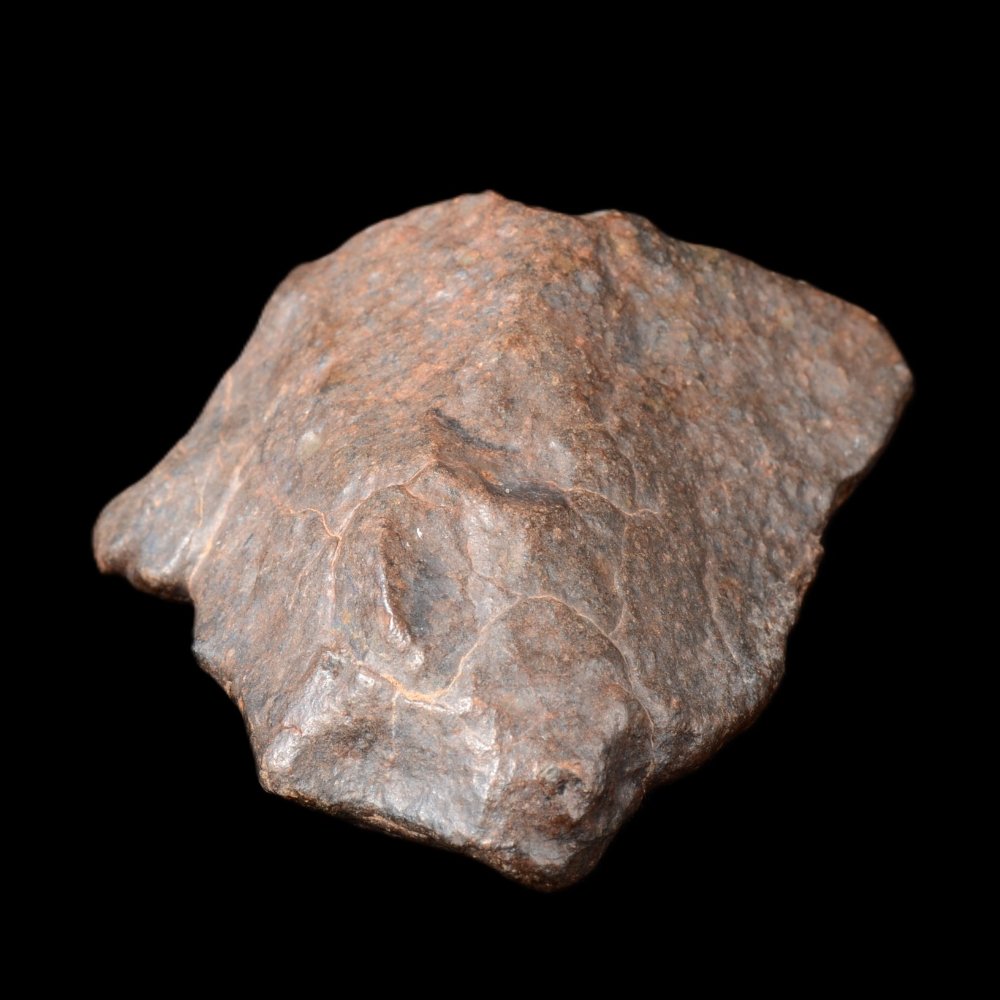Extrêmement puissante pour l'enracinement, Météorite Chondrite