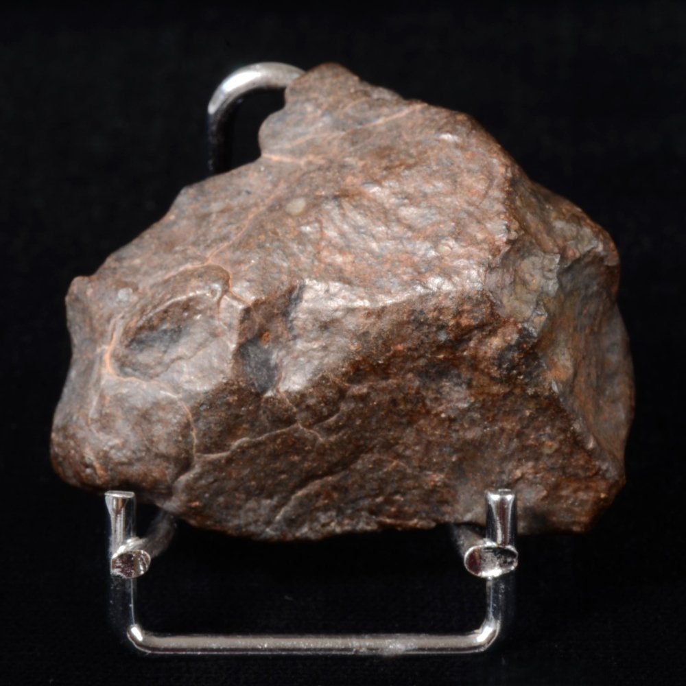 Extrêmement puissante pour l'enracinement, Météorite Chondrite