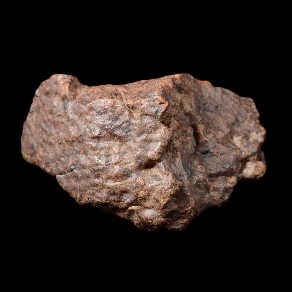 Extrêmement puissante pour l'enracinement, Météorite Chondrite