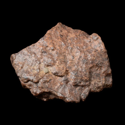 Extrêmement puissante pour l'enracinement, Météorite Chondrite