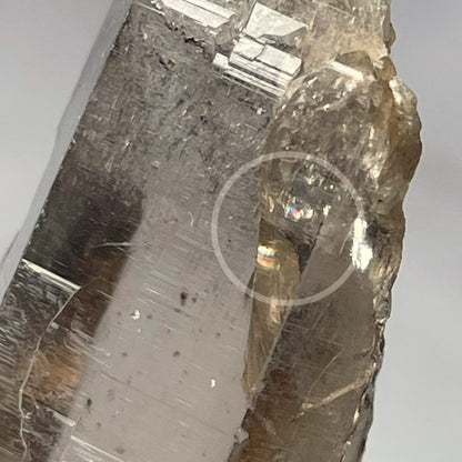 Vibration très élevée de l'himalaya, Quartz fumé du Gauri Shankar