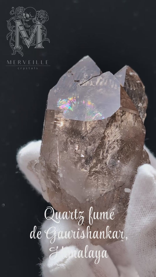 Quartz fumé exceptionnel de Gaurishankar, Himalaya – Cristal maître