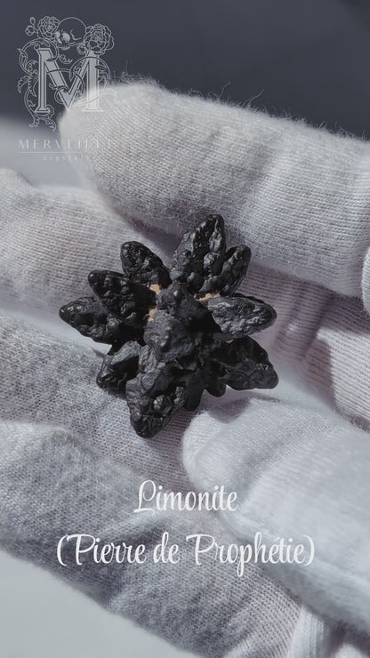 Limonite (Pierre de prophétie / Prophecy Stone, également appelée Z-Stone) - 2