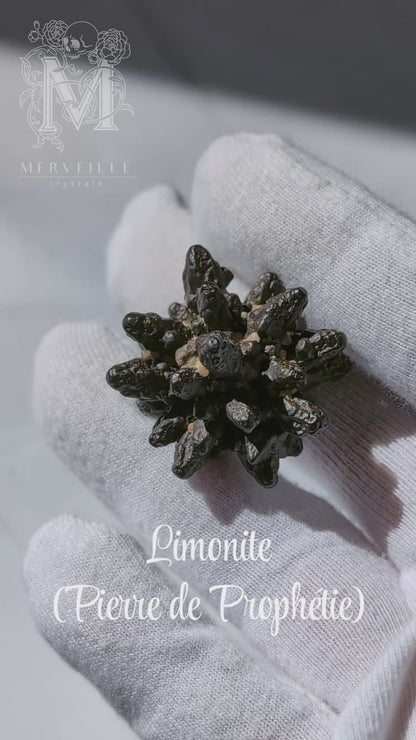 Limonite (Pierre de prophétie / Prophecy Stone, également appelée Z-Stone) - 1