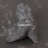 Kyanite Cyanite Noire Puissante protection et purification ancrage profond