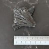 Kyanite Cyanite Noire Puissante protection et purification ancrage profond